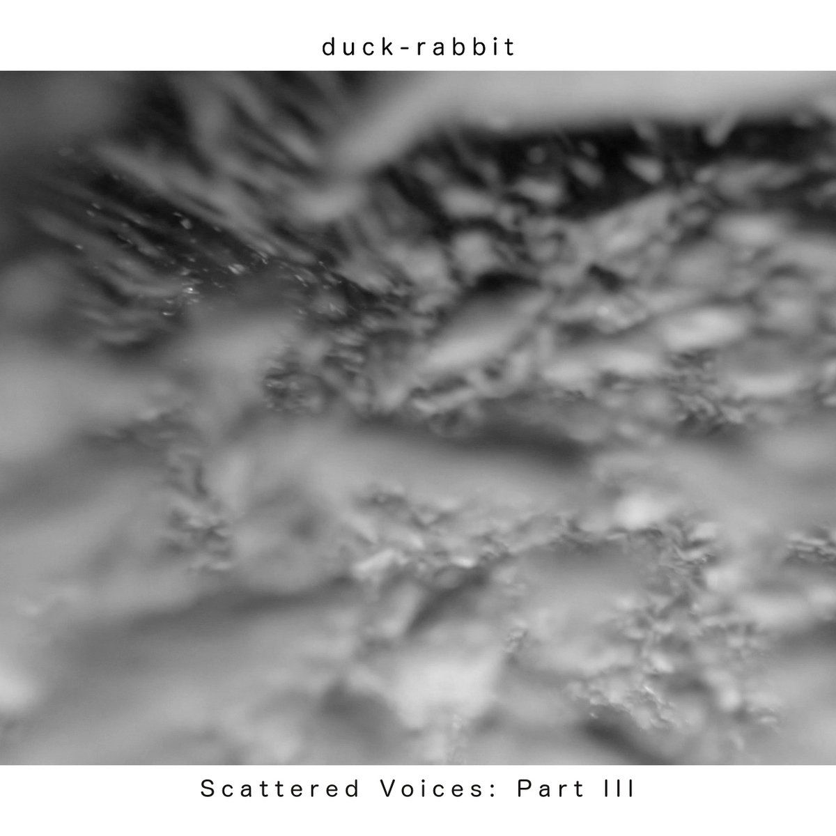 Scattered Voices: Part III - duck-rabbit