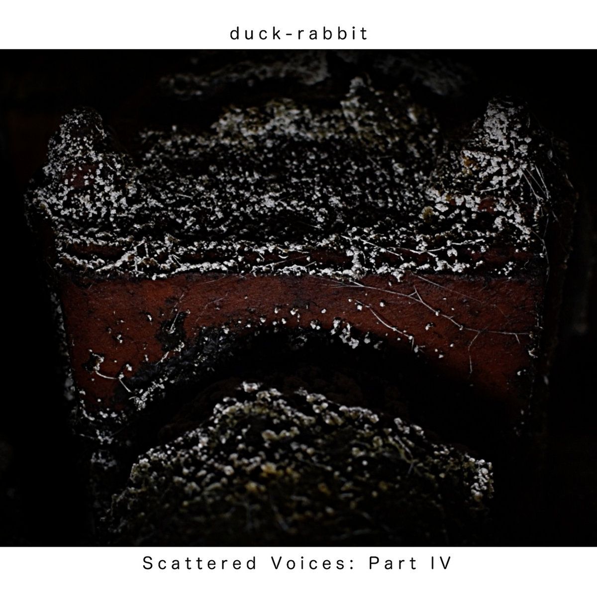 Scattered Voices: Part IV - duck-rabbit